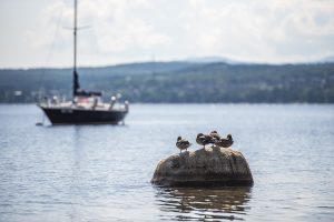 Lac-Megantic-Microtel-Hotel_Gallery6 - Microtel Lac-Mégantic