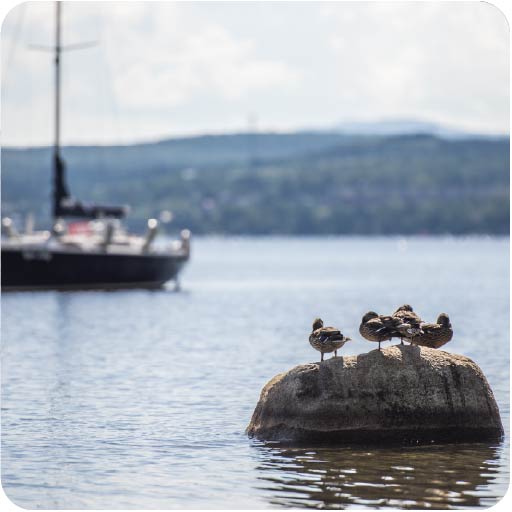 megantic-quoi-faire-off