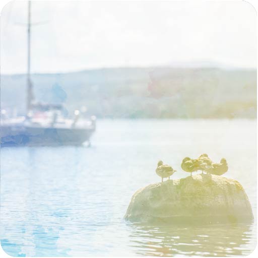 megantic-quoi-faire-on